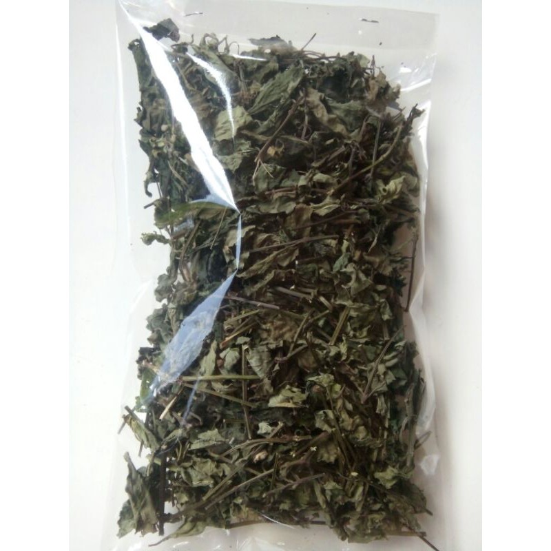 Jual Daun kumis kucing kering/orthosiphon stamineus_Benth | Shopee ...