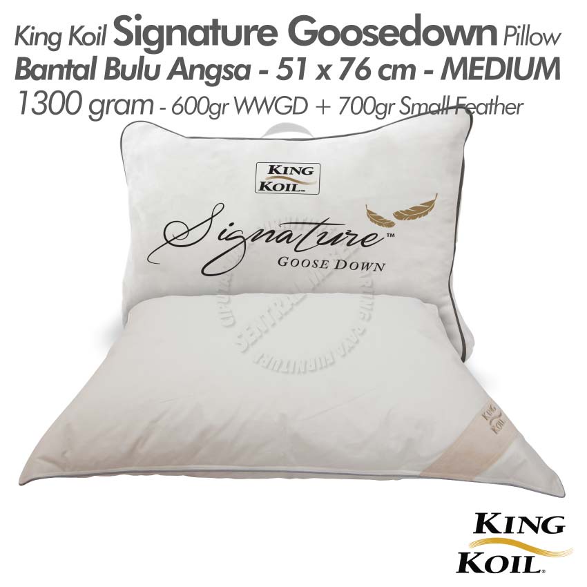 King koil clearance goose down pillow