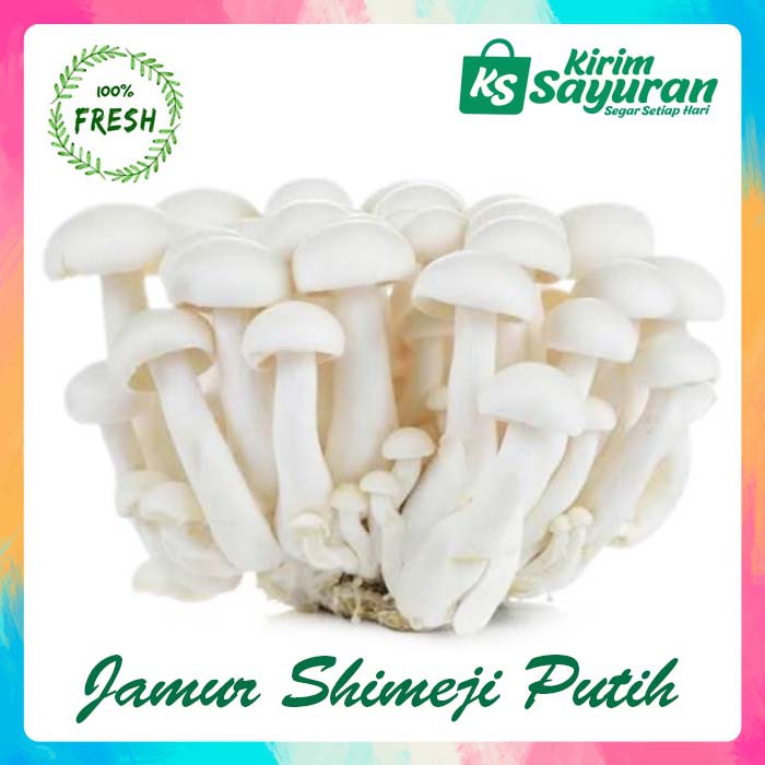 Jual JAMUR SHIMEJI PUTIH/WHITE SHIMEJI SEGAR/FRESH (PACK) Shopee