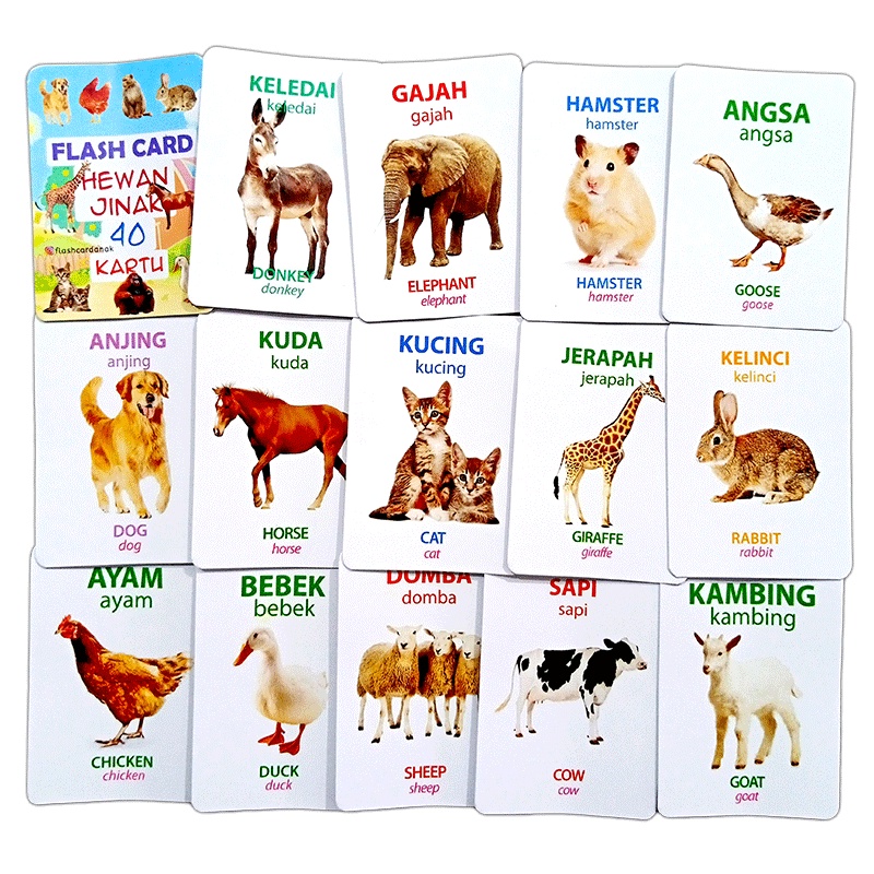 Jual Flash Card Kartu Dunia Hewan Seri 1 (2 Bahasa Indonesia dan Inggris) Shopee Indonesia