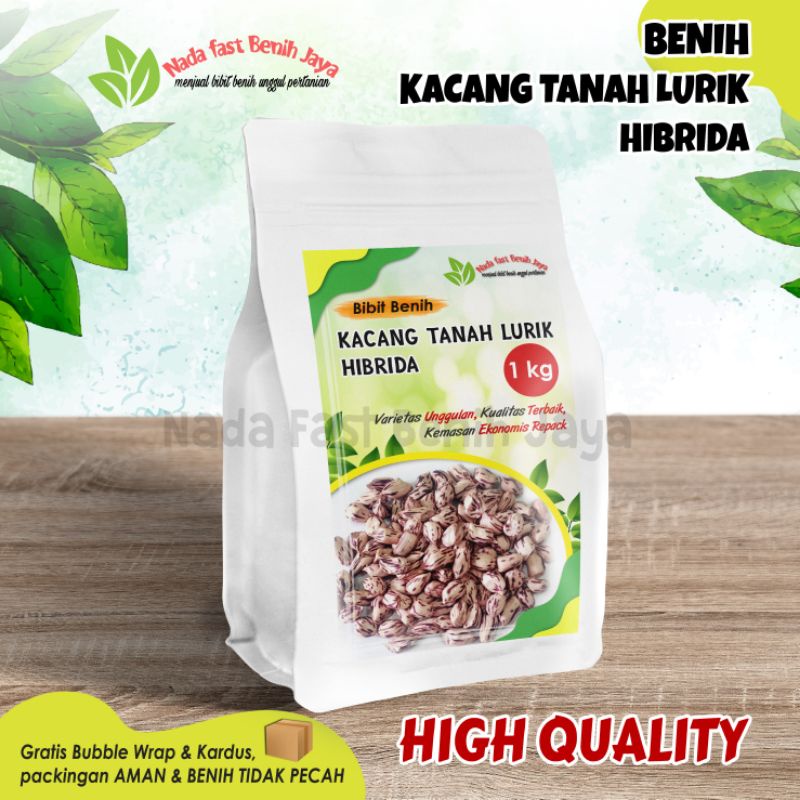 Jual Benih kacang tanah super hibrida lurik 1kg / bibit kacang tanah