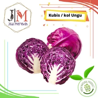Jual kubis merah Harga Terbaik & Termurah April 2025