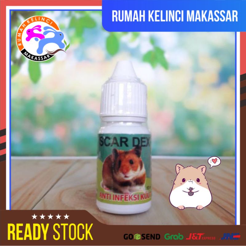 Jual Scar Dex Hamster Scardex Obat Scabies Hamster Infeksi Kulit Ml