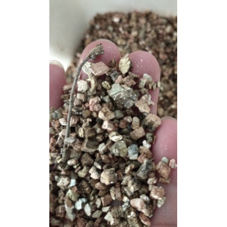 Jual MEDIA TANAM STERIL PERLITE VERMICULITE GOLD AGROPERLITE 1-6 MM 100 ...