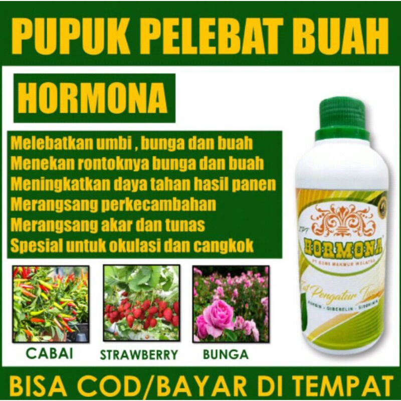 Jual Pupuk Booster Perangsang Semua Tanaman Hormon Pelebat Buah Sawit ...