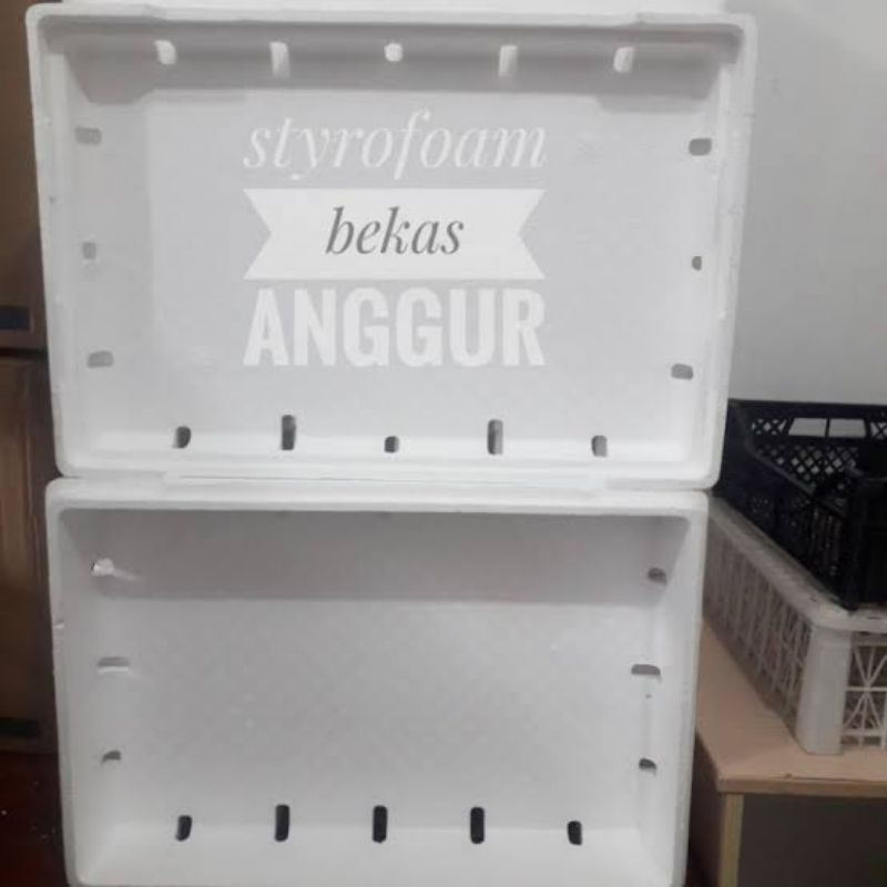 Jual box sterofoam anggur Shopee Indonesia