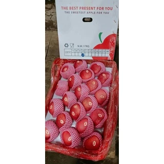 Produk kga7mudq8g | Shopee Indonesia