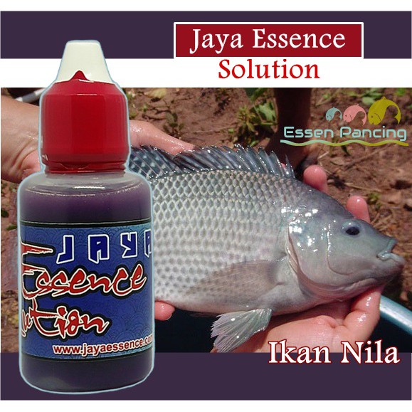 Jual Essen Oplosan Cocok Untuk Ikan Nila Galatama Shopee Indonesia