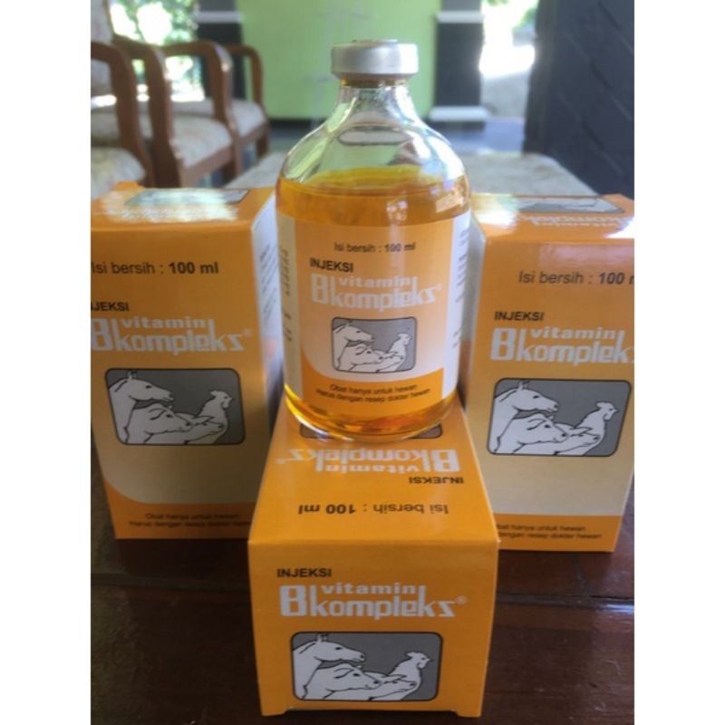 Jual Bkomplek injekvit 100ml | Shopee Indonesia