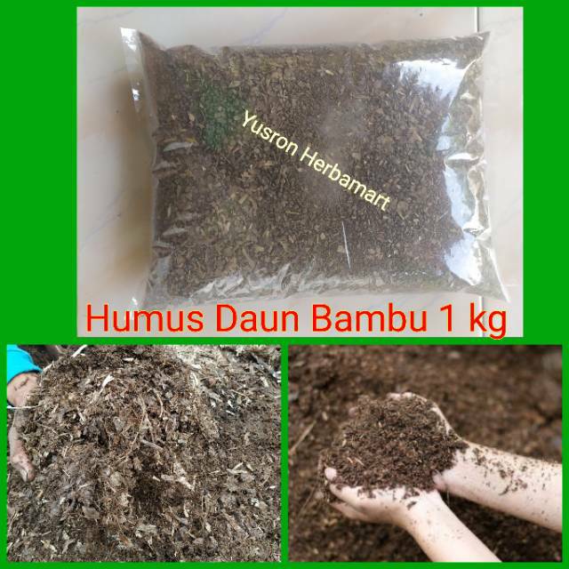 Jual Humus Daun Bambu 1 Kg Shopee Indonesia 