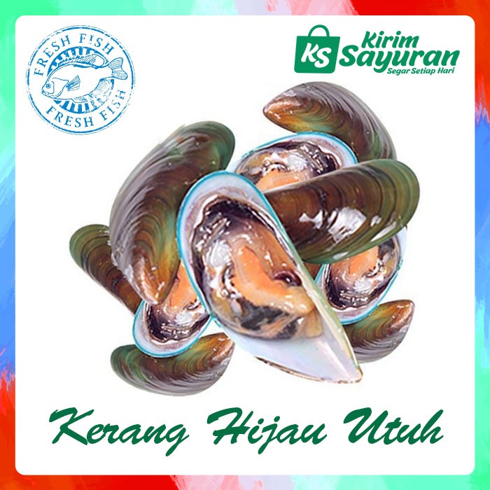 Jual Kerang Hijau Utuh (1 kg) | Shopee Indonesia