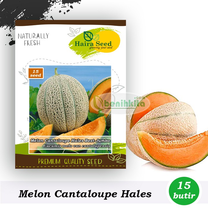 Jual BenihBibit Melon Cantaloupe Hales Best Jumbo (Haira Seed