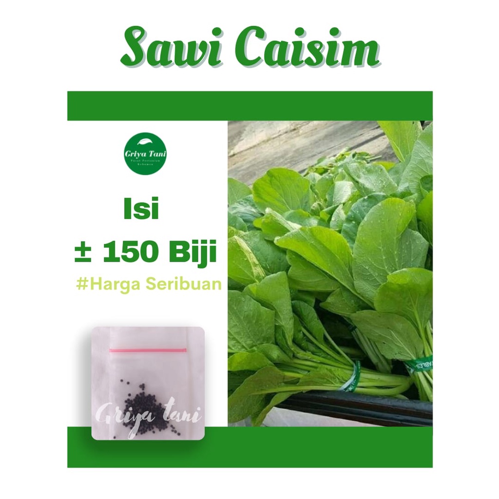 150 Benih Sawi Caisim Dora Bintang Citra Asia Sayuran Hidroponik Bibit Tanaman Sayur