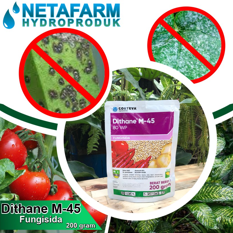 Jual Fungisida DITHANE M-45 80wp Pembasmi Jamur Tanaman - Kemasan 200gr ...