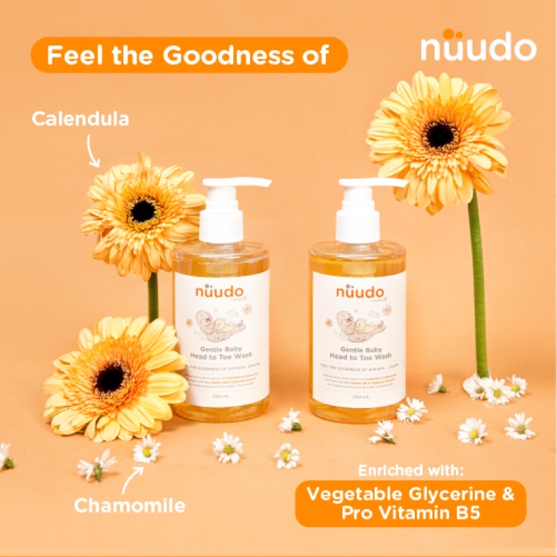 Jual Nuudo by Pureco Gentle Baby Head to Toe Wash 250 ML | Shopee Indonesia
