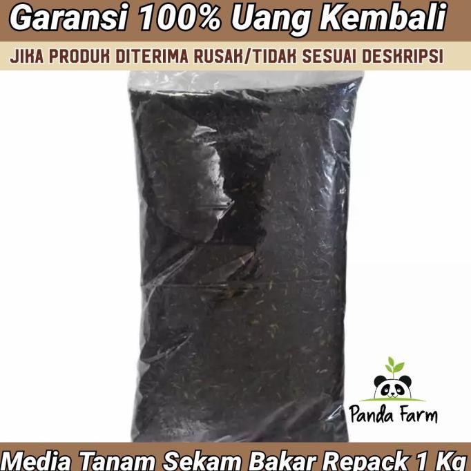 Jual Media Tanam Sekam Bakar Hidroponik Repack 1kg Shopee Indonesia