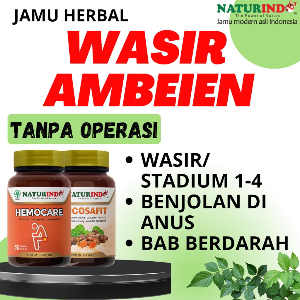 Obat Wasir Paling Ampuh Stadium 3 4 Ambeien Tanpa Operasi Naturindo