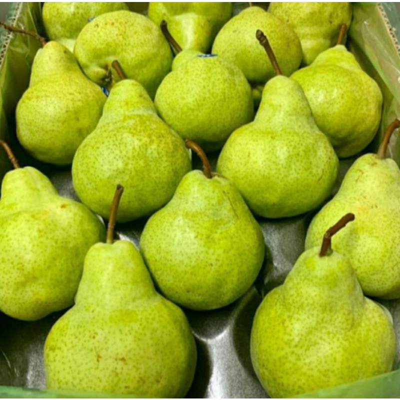 Jual Pear Hijau Packham 1kg Shopee Indonesia 