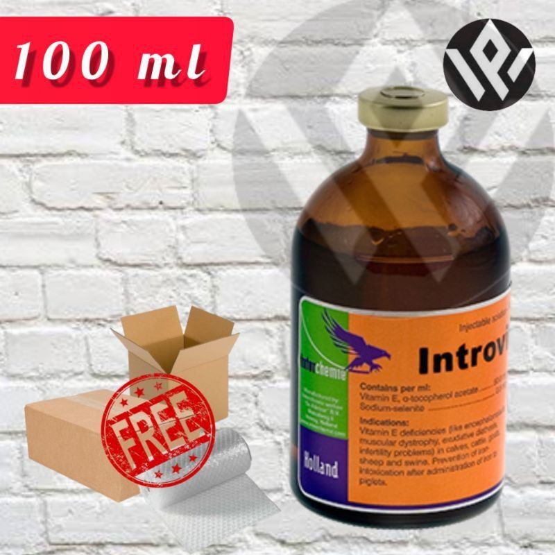 Jual INTROVIT E SELEN 100 Ml - Vitamin E + Selenium Tingkatkan ...