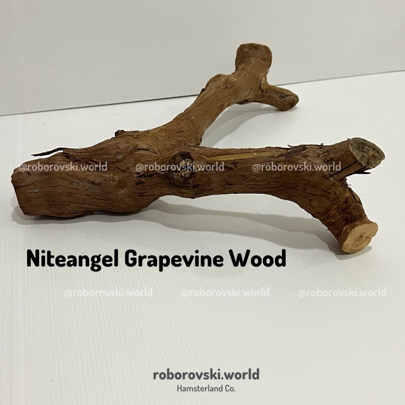 Jual NITEANGEL Grapevine Wood Batang Kayu Hiasan Kandang Hamster Shopee Indonesia