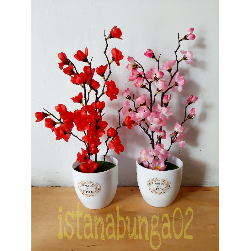 Jual Bunga Sakura Plastik Hias Artificial Pot Bulat Putih Dekorasi Ruangan Shopee Indonesia