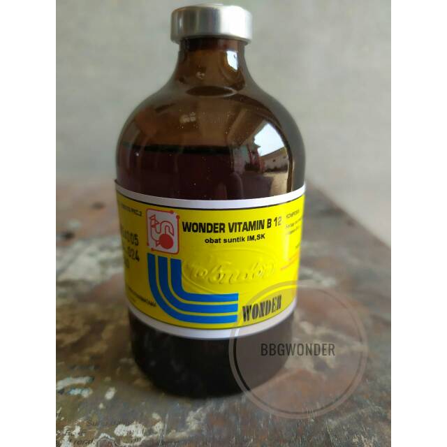 Jual VITAMIN B12 injeksi 100 ml | Shopee Indonesia