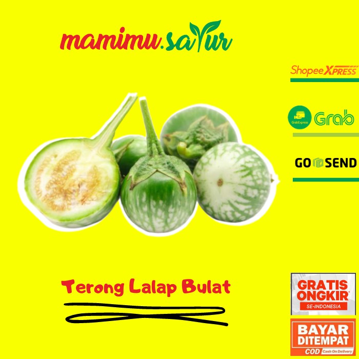 Jual Terong Lalap Hijau Terong Lalap Terung Terong Bulat Sayur Sayuran