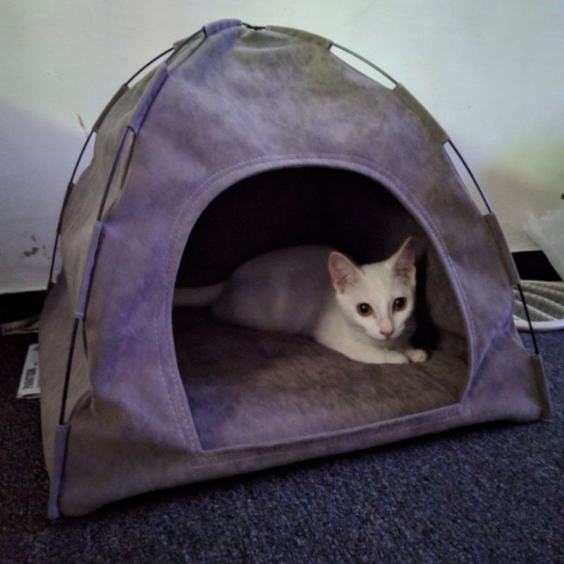 Wainwrights cat bed top