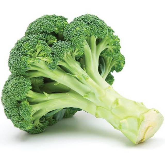 Jual Brokoli 500gr / Brokoli Super / Fresh Broccoli / Fine Broccoli ...