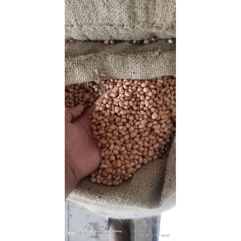 Jual Kacang Tanah Bali Super Kemasan 1kg Shopee Indonesia