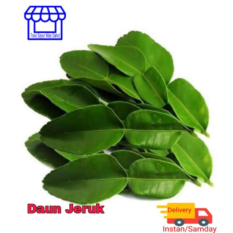 Jual Daun Jeruk Segar Daun Jeruk Bumbu Masak 2 ribu kirim instan ...