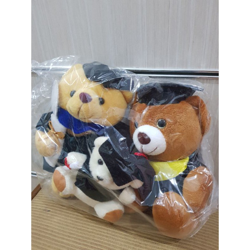 Jual Boneka Graduation Teddy Bear (2pcs) | Shopee Indonesia