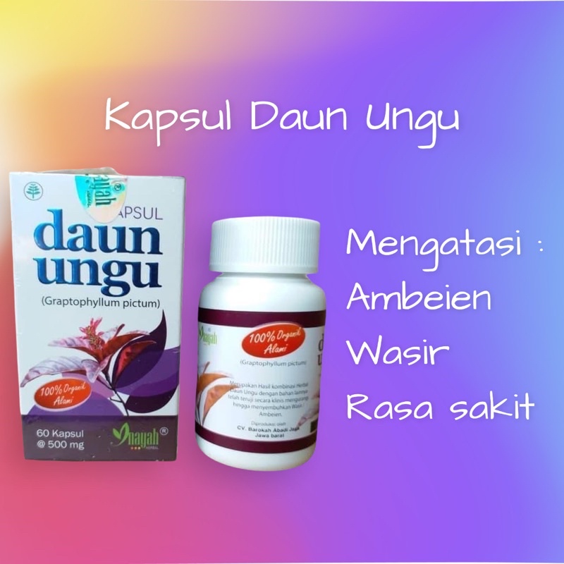 Jual Kapsul Daun Ungu Obat Wasir Ambeien | Shopee Indonesia