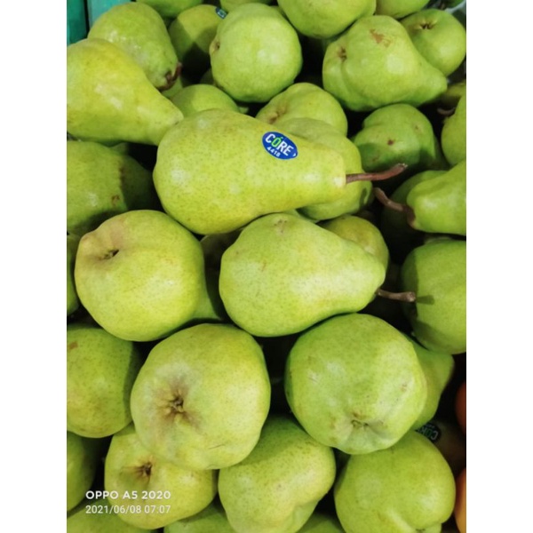 Jual Buah Pear Hijaupear Packamnuri Fruitsbuah Segar Bandung Shopee Indonesia 