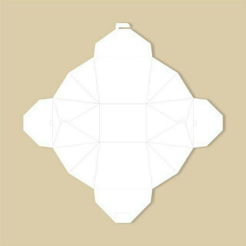 Jual RICE BOX / FOOD FAIL / BOX FOODPAIL / KEMASAN MAKANAN / DUS ...