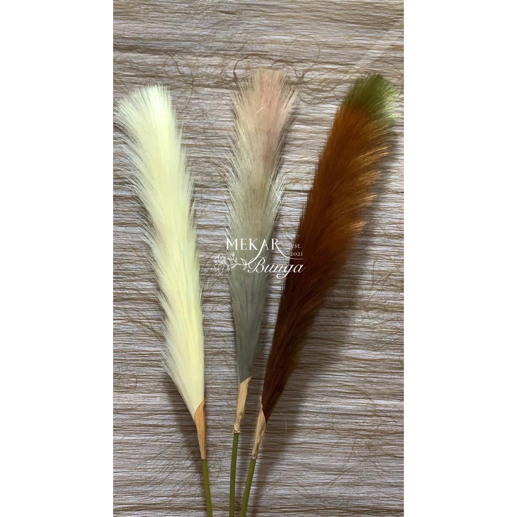 Jual (GD 24) - Bulu Rustic Dekorasi Pelaminan Nikahan | Shopee Indonesia