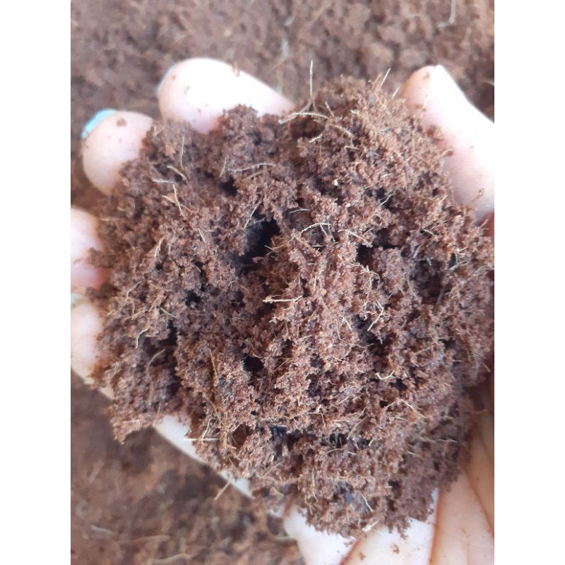 Jual 1 Kg Media Tanam Cocopeat Siap Pakai/ Serbuk Sabut Kelapa | Shopee ...