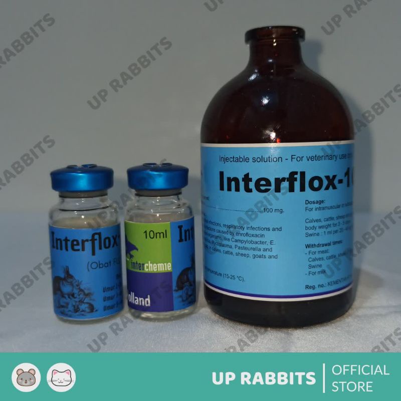 Jual interflox inject interflok Obat FLU AMPUH untuk kelinci dan hewan ...