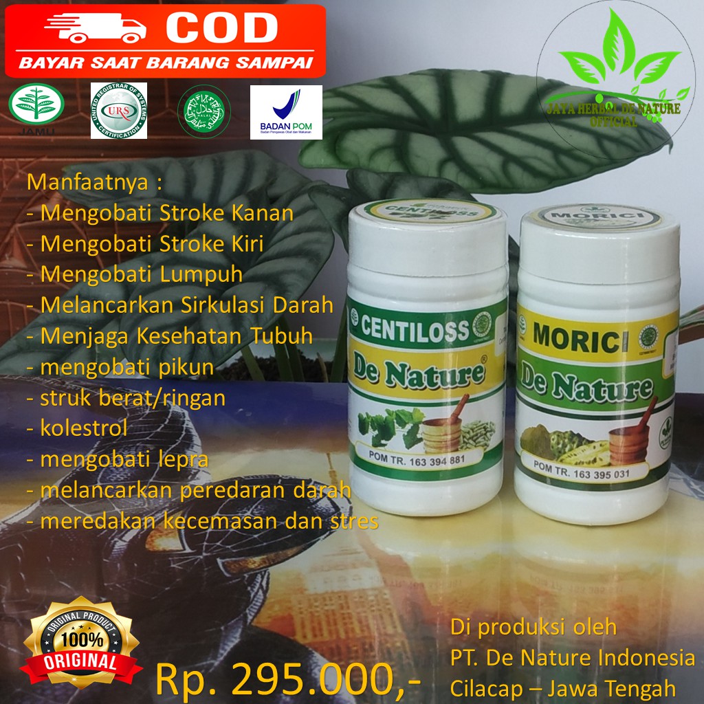 Jual OBAT HERBAT SAKIT STROKE DE NATURE / STRUK RINGAN DAN BERAT ...