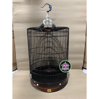 Harakatda erotik fotosuratlar