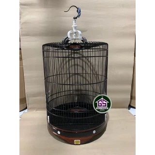 Ben 10 uchun Juli va Gven 10 tasma (faqat porno)