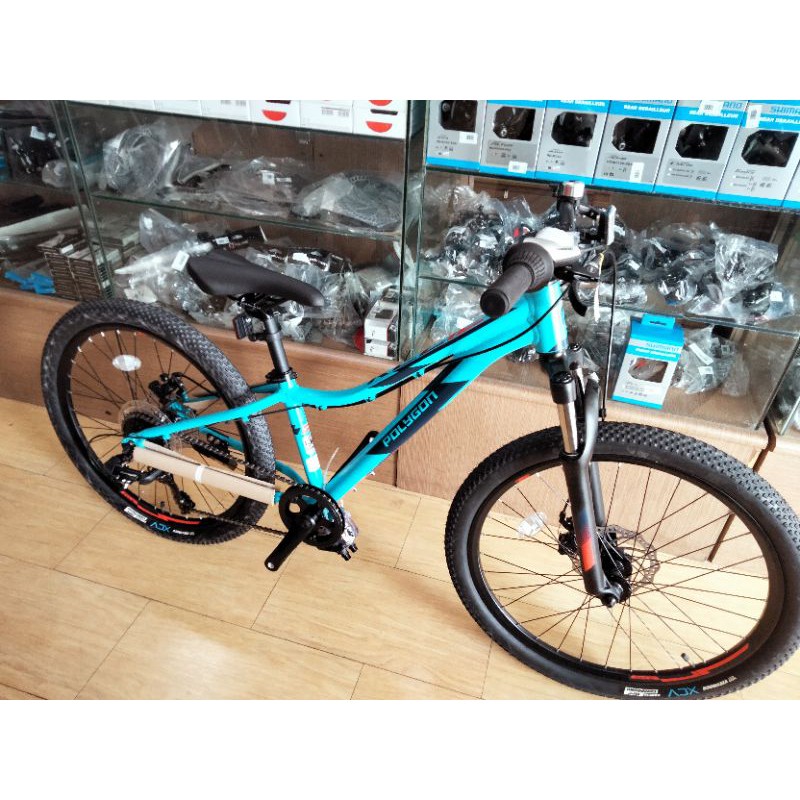 sepeda mtb polygon relic 24