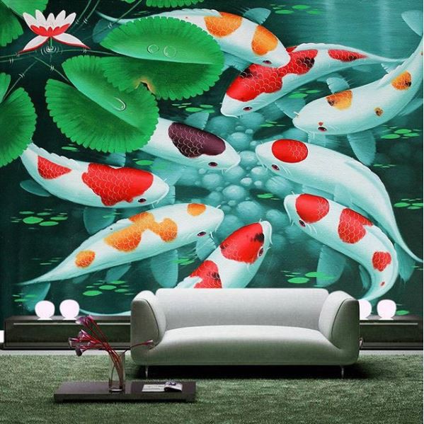 ikan koi wallpaper