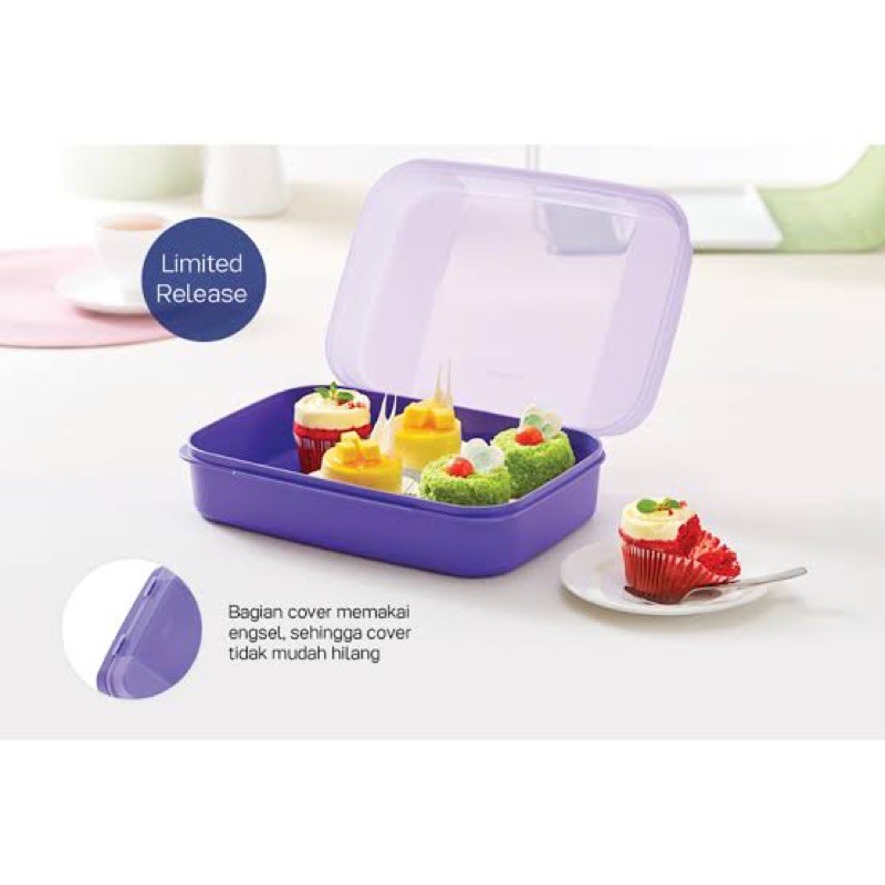 Jual Tupperware wadah segi panjang (besar) | Shopee Indonesia