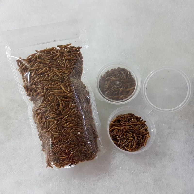 Jual Ulat Hongkong kering dried protein mealworm landak sugar glider gecko koi louhan burung 5gr
