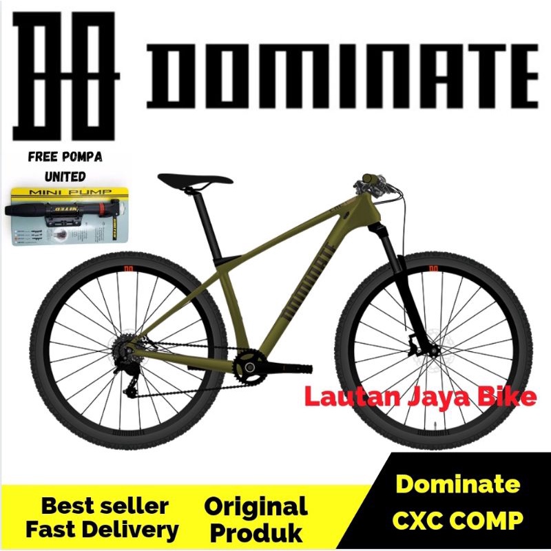 frame dominate carbon