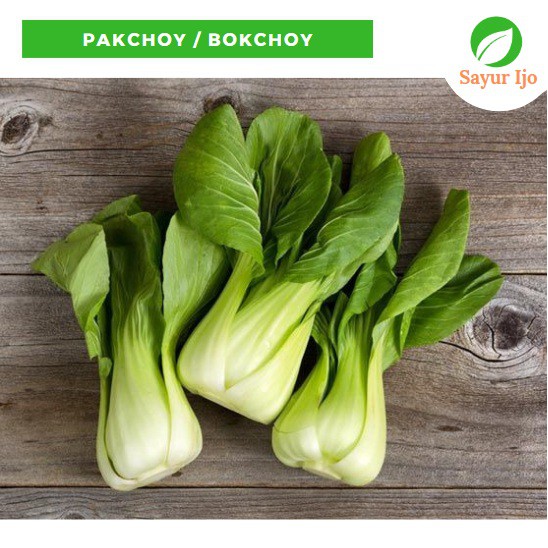 Jual Pakchoy 230 - 250 Gram Fresh Bok Coy Pakcoy Sawi Bokchoy Sayur ...
