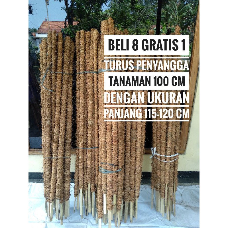 Jual Turus Penyangga Tanaman Rambat dari Bambu 1 meter 120 cm Murah dan ...