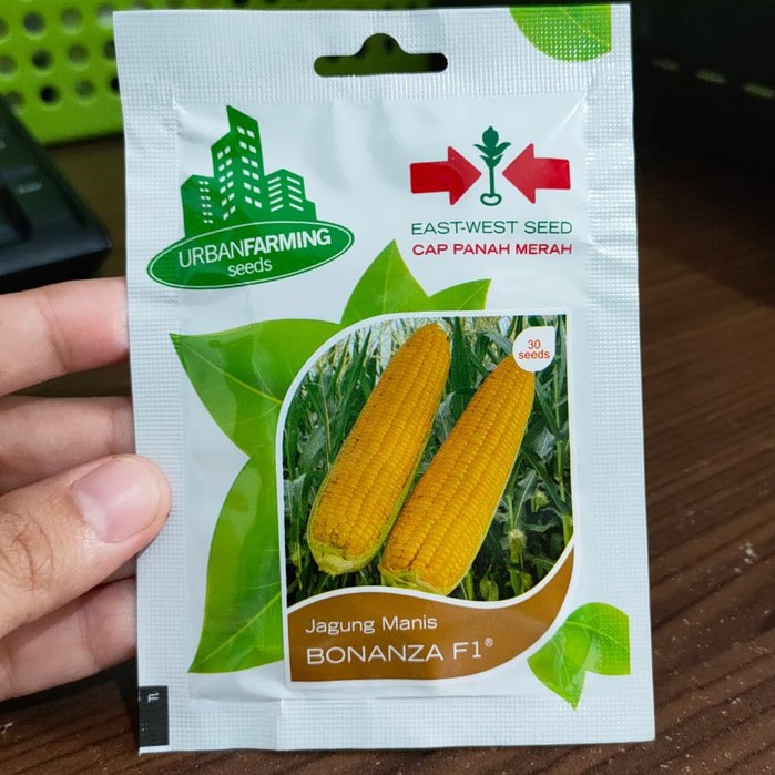 Jual Uf Benih Jagung Manis Bonanza Isi Biji Benih Jagung Bonanza Urban Farming Panah