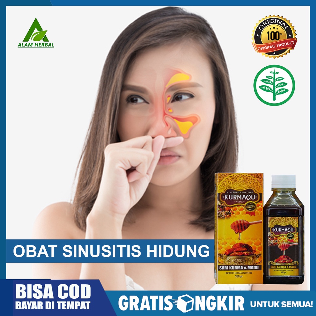 Jual Obat Herbal Sinusitis Sinus Radang Sinus Sinus Bau Hidung